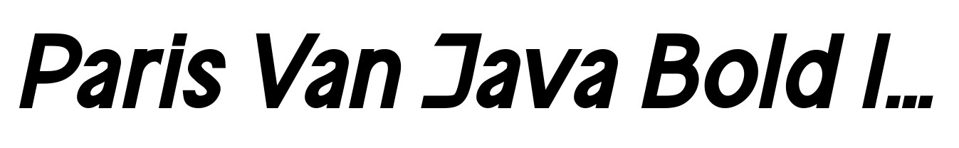 Paris Van Java Bold Italic